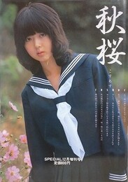 秋桜　こすもす