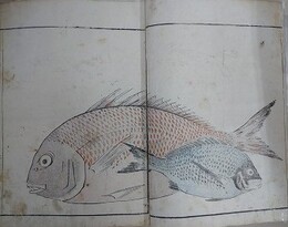魚貝略画式