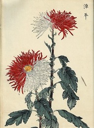 契花百菊　全3冊揃　（元版）