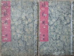 小三金五郎　仮名文章娘節用　前・後編