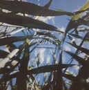 光の音　pure and simple