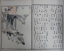 楳嶺百鳥画譜　正編の天/続天地人　4冊組