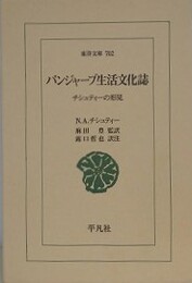 パンジャーブ生活文化誌　チシュティーの形見　（東洋文庫）
