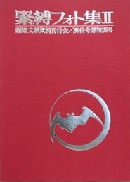 緊縛フォト集 No.2　風俗奇譚特別号