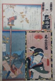 江戸の花名勝会　請地　番外　秋葉　尾上栄三郎　秋葉の紅葉