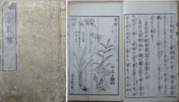 豊年教種（救歉挙要）