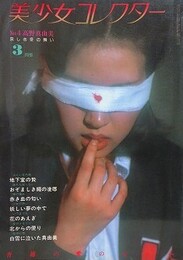 美少女コレクター No.4　高野真由美　哀しき冬の舞い