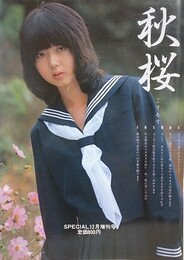 秋桜　こすもす