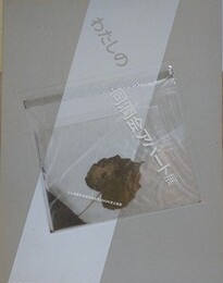 図録　わたしの同潤会アパート展