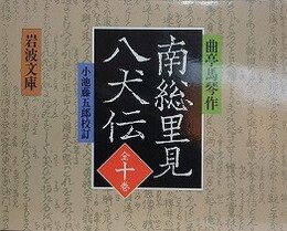 南総里見八犬伝　全10冊揃　（岩波文庫）