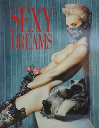 Sexy Dreams