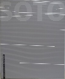 Jesus rafael soto　（ラファエル・ソト作品集）