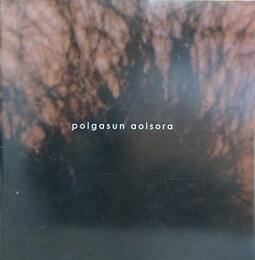 polgasun aoisora