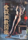 愛奴調教図鑑