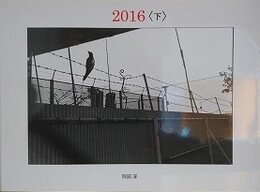 2016〈下〉　阿部淳　（VACUUM PRESS 20）