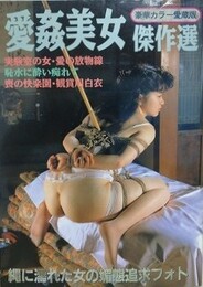 愛姦美女傑作選
