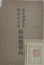 東京帝国大学理学部附属植物園案内　（当時の観覧券付）