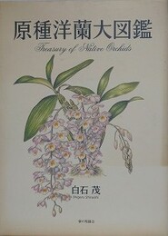 原種洋蘭大図鑑