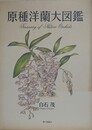原種洋蘭大図鑑
