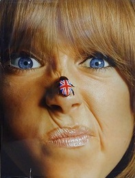 BIRDS OF BRITAIN by John Green