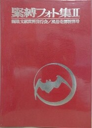 緊縛フォト集 No.2　風俗奇譚特別号