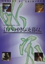 新宿内藤町遺跡に見る　江戸のやきものと暮らし