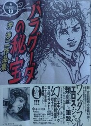 バラグーダの秘宝　（沖渉二作品集）　【新・官能劇画大全 13】