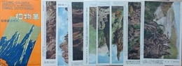 絵葉書　大空に聳ゆる萬物相　8枚　封筒付