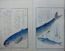 久摺日誌