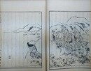 理慶尼乃記　武田勝頼滅亡記