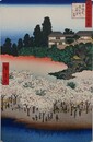 初代歌川広重筆　名所江戸百景　千駄木団子坂花屋敷（文京区）