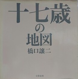 十七歳の地図