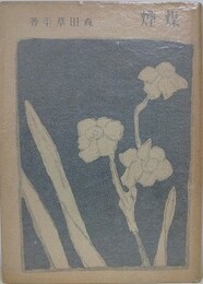 煤煙