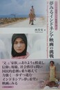 夢みるインドネシア映画の挑戦　（シリーズ混成アジア映画の海 2）