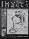 Black & White Images　The Golden Era of Pen & Ink Illustration 1890-1922, Images from the Vadenboncoeur Collection