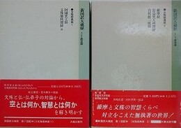 新国訳大蔵経　インド撰述部　⑨文殊経典部 1・2　（大方広宝篋経・阿闍世王経・文殊師利問経/維摩経・思益梵天所問経 他）　2冊組