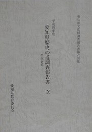 愛知県歴史の道調査報告書 9　平坂街道　（愛知県文化財調査報告書 63集）