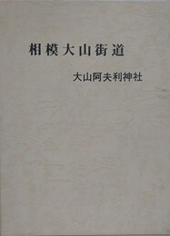 相模大山街道
