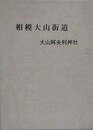 相模大山街道