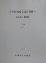 大宰府政庁周辺官衙跡 11　広丸地区遺物編　