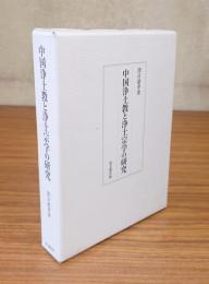 中国浄土教と浄土宗学の研究
