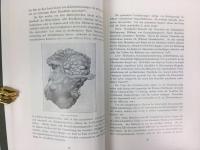 国立伝染病研究所 『日本の風土病』 1911年　東京刊
Kaiserlich Japanisches Institut für Infektionskrankheiten zu Tokio, Endemische Krankheiten in Japan. 1911 Tokio 