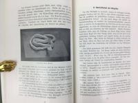 国立伝染病研究所 『日本の風土病』 1911年　東京刊
Kaiserlich Japanisches Institut für Infektionskrankheiten zu Tokio, Endemische Krankheiten in Japan. 1911 Tokio 