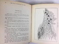 エドワード・グリー 『アメリカ青年蝦夷と樺太に行く』 1892年　ボストン刊　/ Greeey, Edward, Young Americans in Yezo and the Island of Karafuto (Saghalin), Boston, 1892