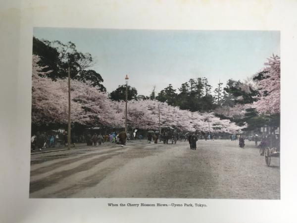 小川一真 / 鉄道院 『日本風景風俗写真帳』 （1910年代） 東京刊