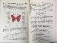 ティーフェンゼー　『中国における商社設立：商用中国語、中国事情』　第一巻（完結） 1919年　板東刊 / Tiefensee, F., Geschaeftsgruendung in China. Chinesich-deutscher Sprach- und Sachfuehrer fuer Kaufleute 1. Band., Bando, 1919