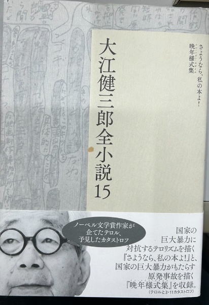 大江健三郎全小説 全15冊揃内12・13巻欠の13冊で | 大江健三郎