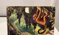 冒険密林絵物語　少年ザンバ　光文社の絵物語