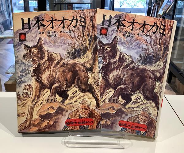 思想史とはなにか 意味とコンテクスト SELECTION21(クェンティン