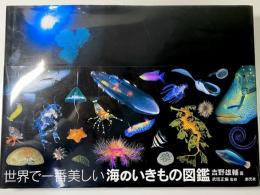 世界で一番美しい海のいきもの図鑑